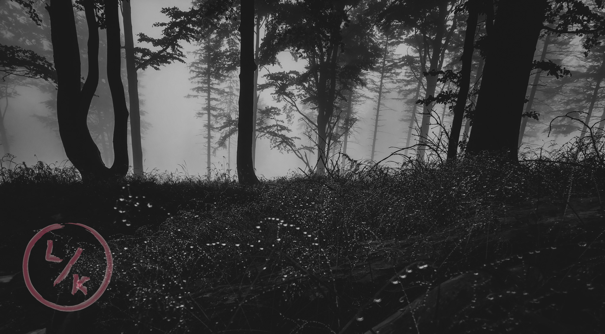 Foggy forest 2
